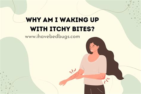 Why Am I Waking Up With Itchy Bites? - ihavebedbugs.com