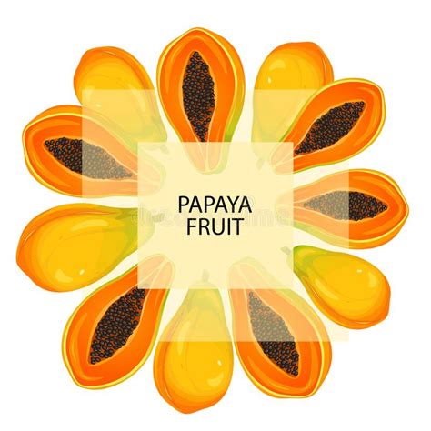 Background with Papaya.a Web Banner with Ripe, Juicy Papaya Fruits Stock Vector - Illustration ...