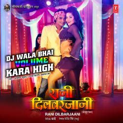 Rani Dilbarjaani музыка из индийского фильма | Dj Wala Bhai Volume Kara High From "Rani ...