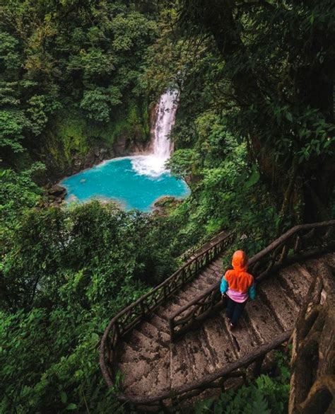 Rio Celeste Waterfall & Tenorio Volcano National Park Guide