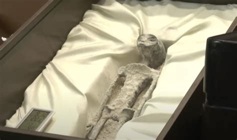 30% of Mexican 'alien' mummies' DNA is from an 'unknown species' | Unexplained Mysteries