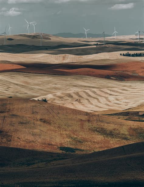 Windmills on Field · Free Stock Photo