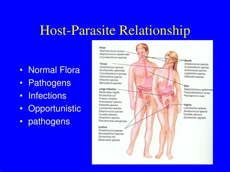 PPT - Host-Parasite Relationship PowerPoint Presentation, free download - ID:9117879