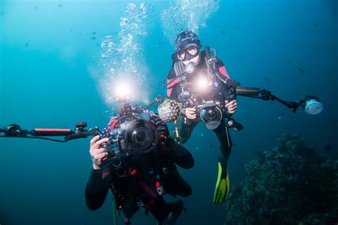 Beginner’s Guide to Underwater Photography Equipment | LaptrinhX / News