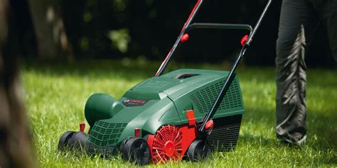 Tips and tricks for scarifying and aerating your lawn | Bosch DIY