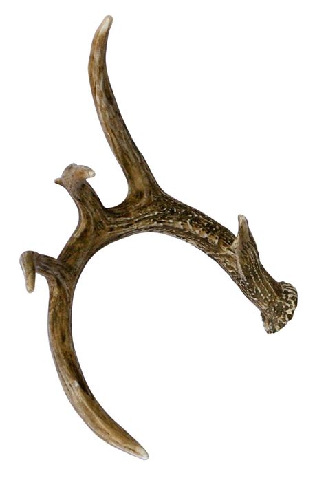 Whitetail Deer Faux Antler | Cast Horn Designs