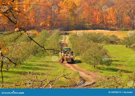 Hayride on Pickup Truck in Autumn Apple Orchard Stock Photo - Image of ...