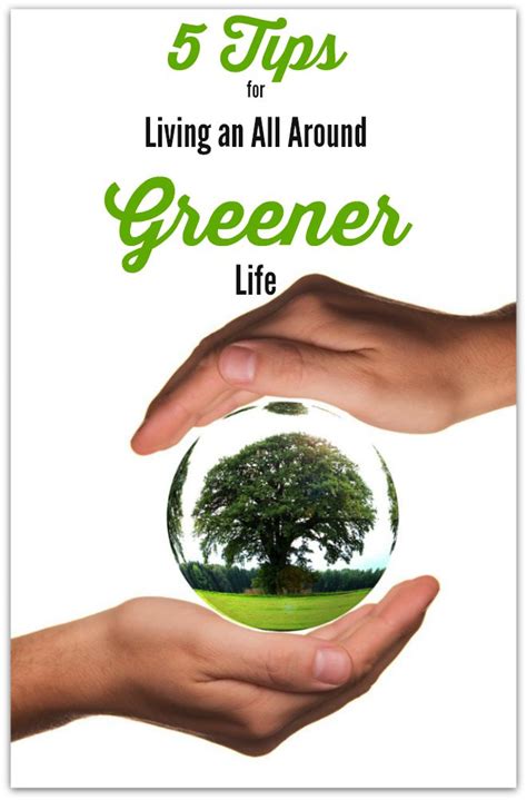 5 Tips for Living an All Around Greener Life | Live a Green & Natural ...