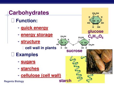 PPT - Carbohydrates PowerPoint Presentation, free download - ID:463401