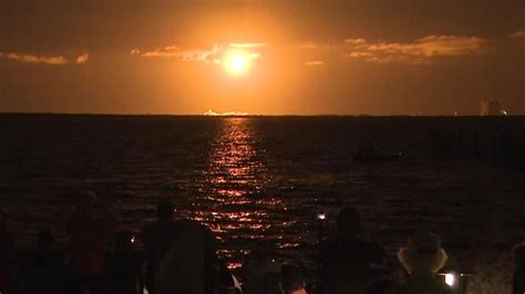 Spectators watch SpaceX launch over Florida | World News | Sky News