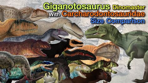 [ Size Comparison ] Dinomaster #01 Carcharodontosauridae - YouTube