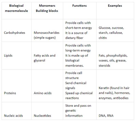 Structure and Function of Biological Macromolecules Study Guide - Inspirit Learning Inc