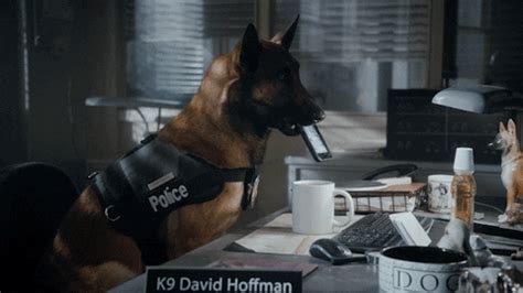 Police Dog GIFs - Get the best GIF on GIPHY