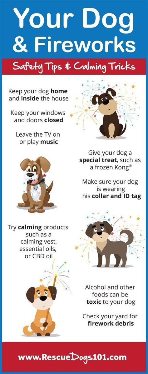 My Dog is Afraid of Fireworks... 9 Safety Tips and Calming Tricks