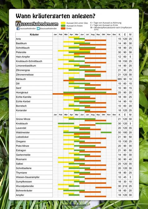 Wann kräutergarten anlegen - Aussaatkalender.com | Planting herbs, When ...