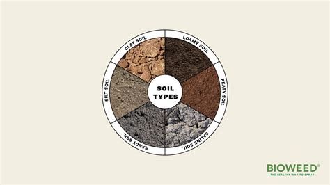 Common Soil Types In Australia And How To Manage Them - Bioweed