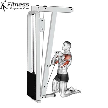 Kneeling Cable Shoulder Press » Workout Planner