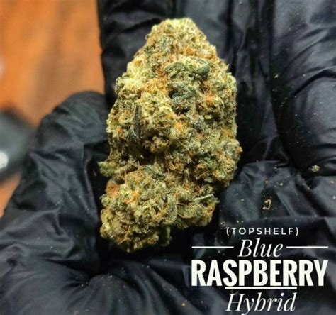 Blue Raspberry – Exotic In Thailand