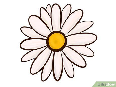 How To Draw A Simple Pretty Flower - I Will Burn