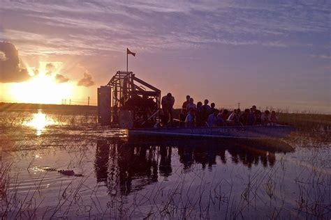 Florida Everglades Night Airboat Tour Near Fort Lauderdale: Triphobo