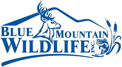 Blue Mountain Wildlife