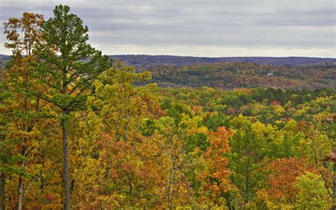 Prepare for Heat Wave before Hiking the Many Trails of the Mark Twain National Forest - My Mo Info