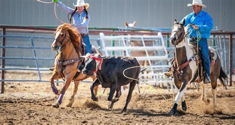 World Series Team Roping Finale XI The Sleeping GIANT of Vegas