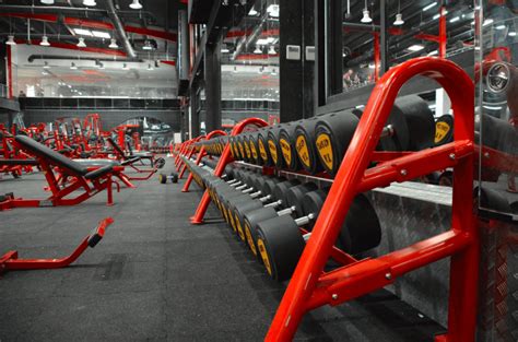 Binous Gym Dubai: 5 Things You Need to Know - Gymfluencers UAE