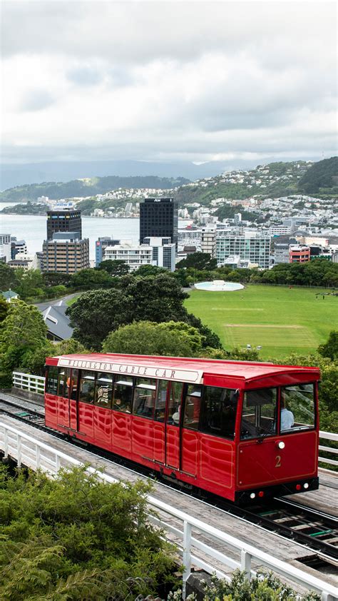 Discover the Best Things to Do in Wellington City