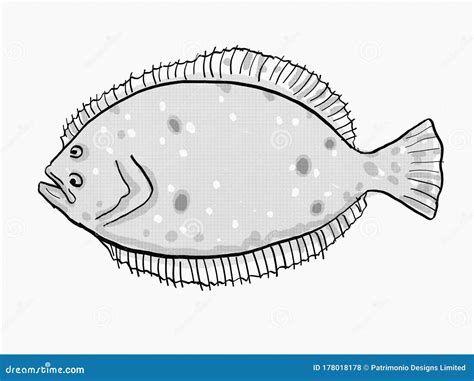 Summer Flounder South Carolina Inshore Fish Cartoon Retro Drawing Stock Illustration ...