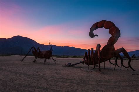 Guide to Anza-Borrego Desert State Park: Hiking, Wildflowers ...