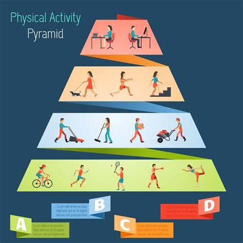 Physical Activity Pyramid Infographics - Download Free Vectors, Clipart Graphics & Vector Art ...