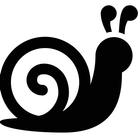 Snail PNG High-Quality Image