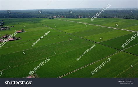 Aerial View Paddy Field Stock Photo 1326098159 | Shutterstock