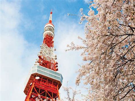 4D3N Tokyo Tour Package (Haneda) | Paket Tour ke Jepang - Wendy Tour