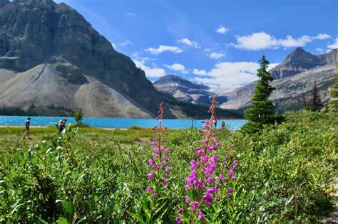 Guide To Canadian National Park Passes | Parks Canada Passes