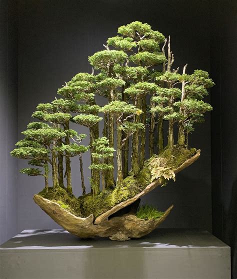 KIMURA V ROCK Bonsai Forest, Bonsai Garden, Garden Plants, Fairy Garden ...