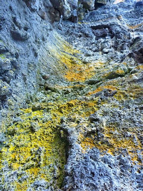 Lichen: Craters of the Moon National Monument and Preserve, Idaho