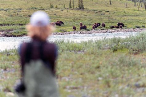 Nahanni River Adventures & Canadian River Expeditions -Raft/Canoe/Hike