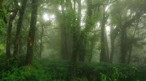 The Mystery Of The Bridgewater Triangle