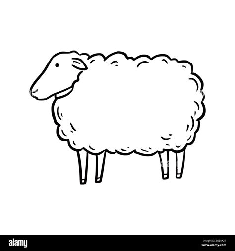 Hand drawn sheep. Doodle sketch style. Drawing line simple sheep icon ...