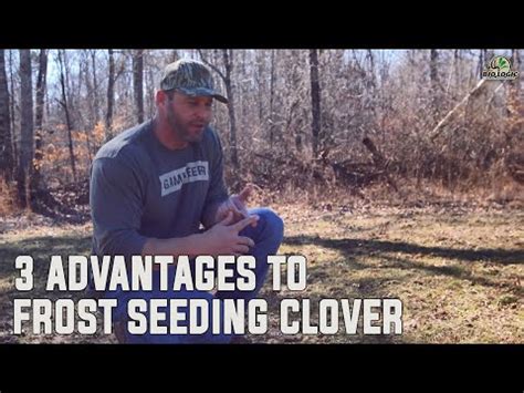 Advantages to Frost Seeding Clover | Mossy Oak Gamekeeper