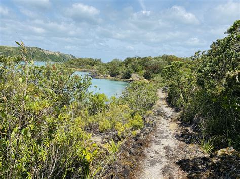 Rangitoto Island Day Hike: Walking The Youngest Volcano In New Zealand 量 | Inspired By Maps