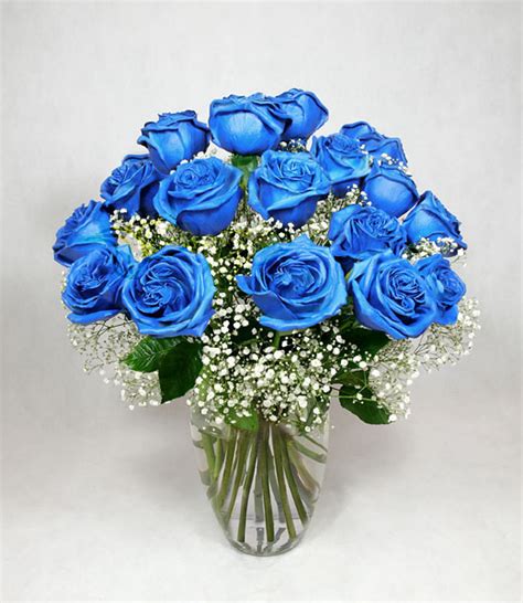 Blue Roses Delivery | Lilubee | Worldwide