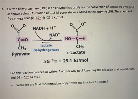 Solved 4. Lactate dehydrogenase (LDH) is an enzyme that | Chegg.com