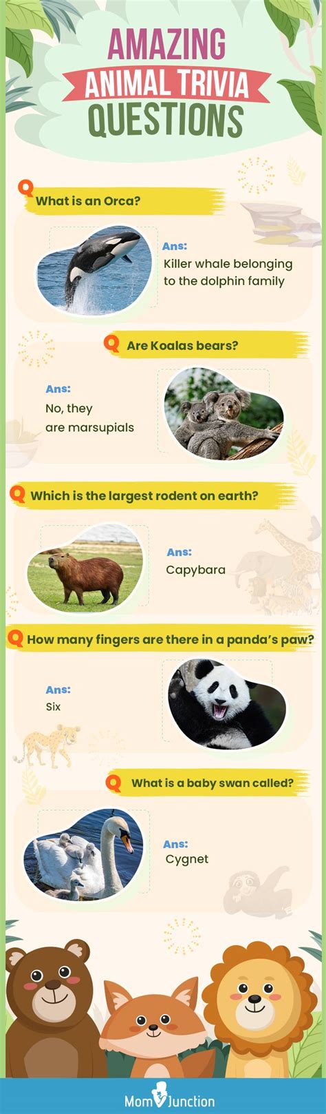 Best baby animal trivia questions