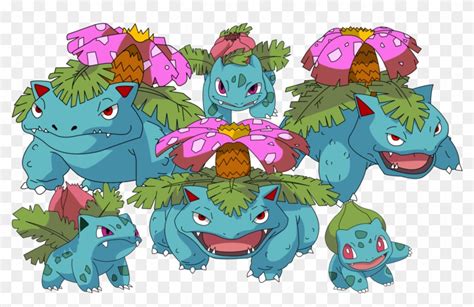 Bulbasaur Evolution - All The Evolutions Of Bulbasaur, HD Png Download - 1600x987(#1758891 ...