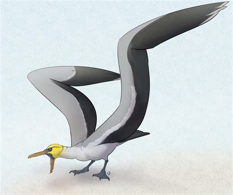 A Dinosaur A Day: Pelagornis