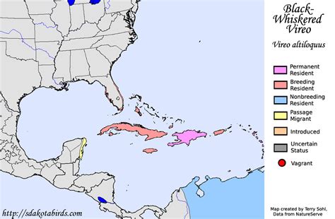 Black-whiskered Vireo - Species Range Map