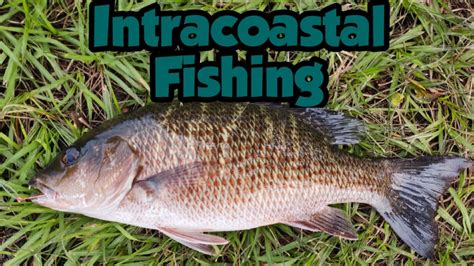 Fishing the Intracoastal Waterway in Fort Lauderdale - YouTube